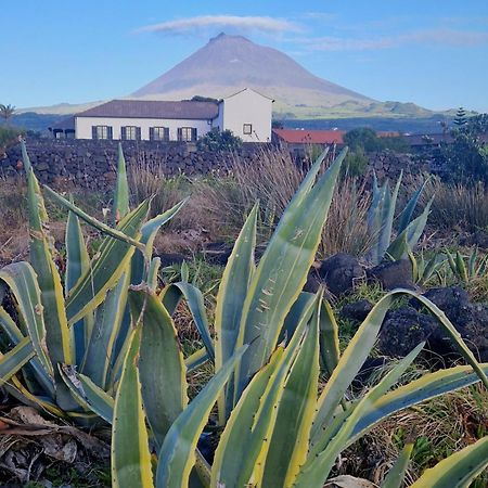 Vila Solar Dos Limas Criacao Velha Exteriér fotografie