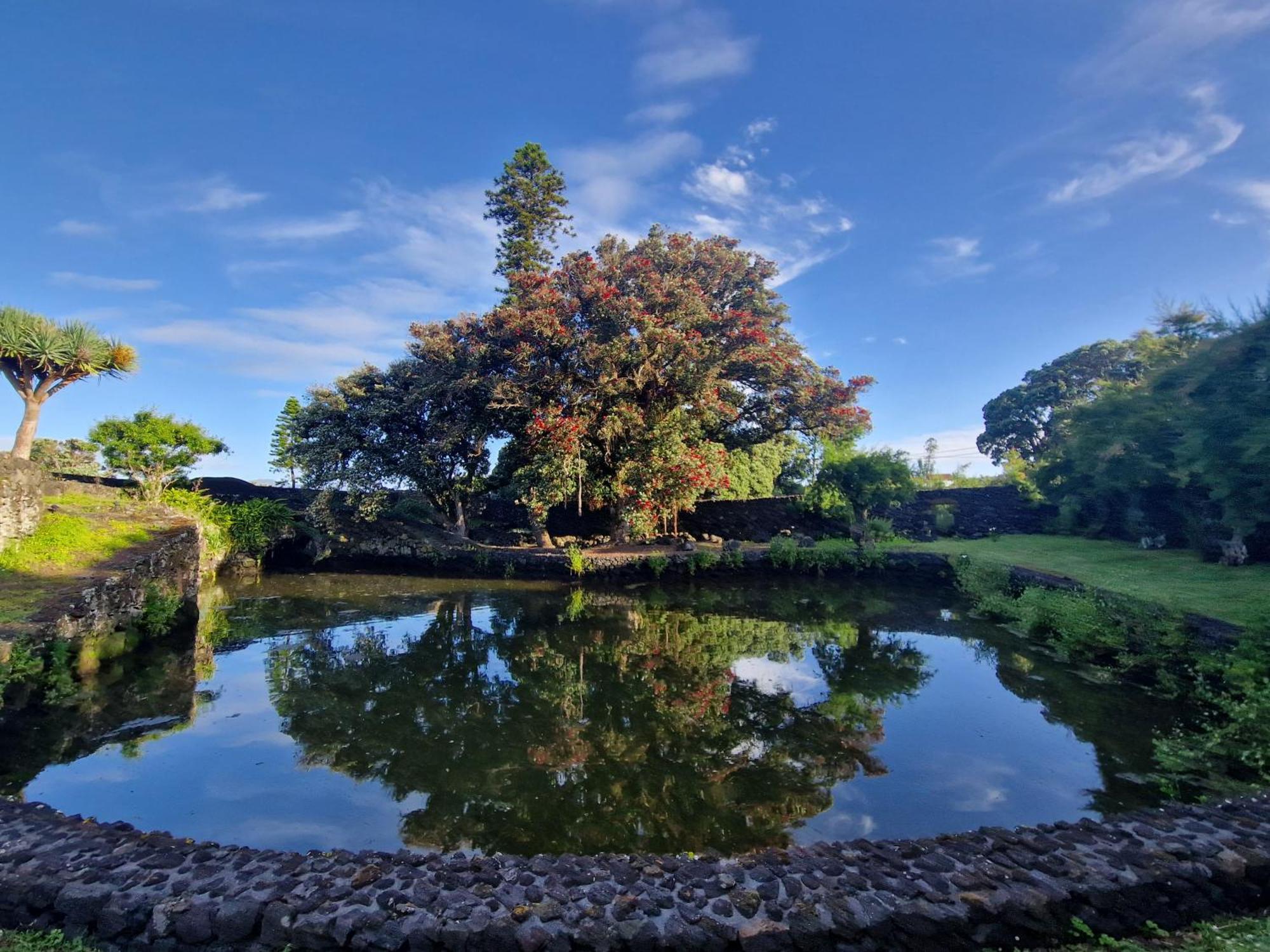 Vila Solar Dos Limas Criacao Velha Exteriér fotografie