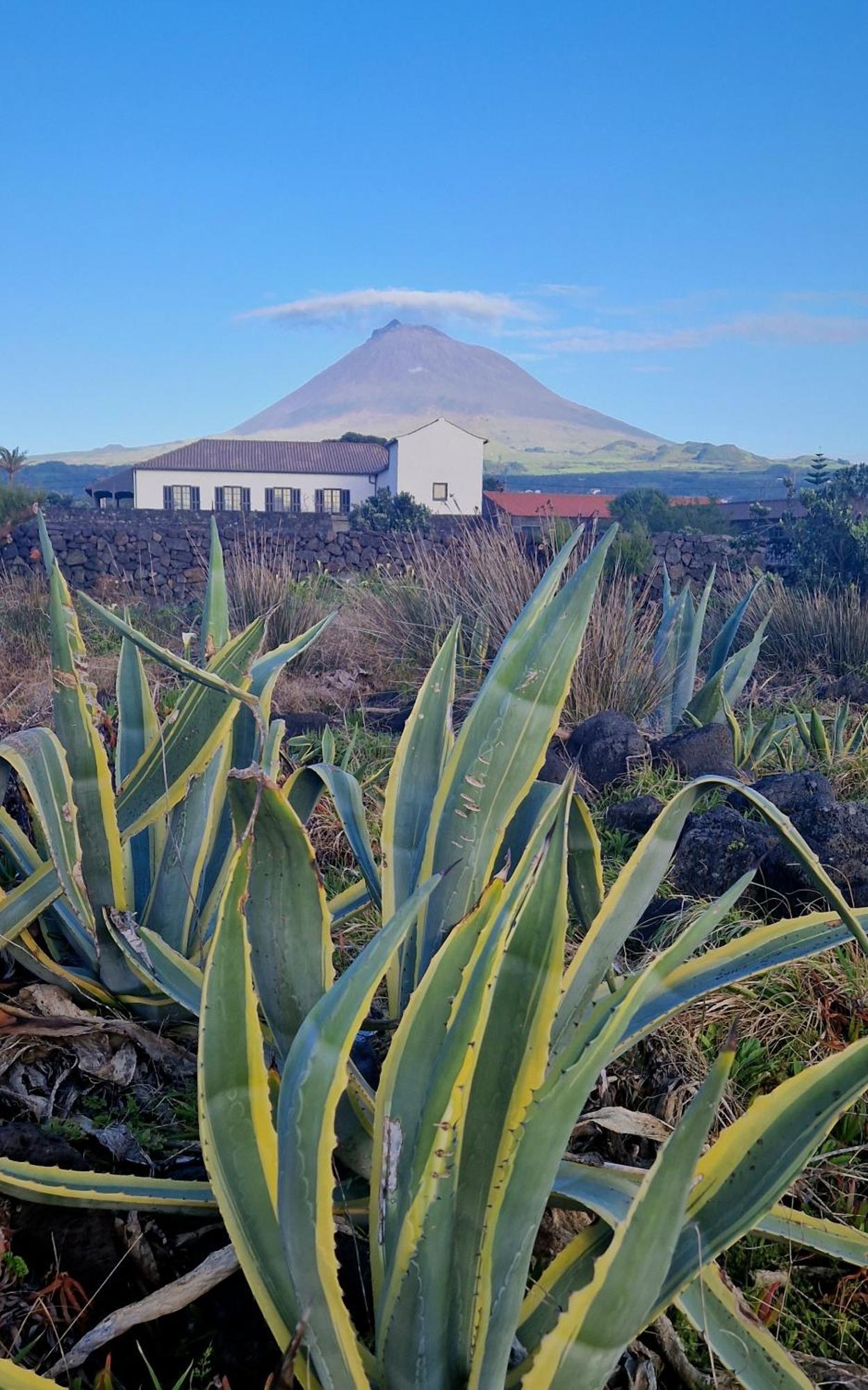 Vila Solar Dos Limas Criacao Velha Exteriér fotografie