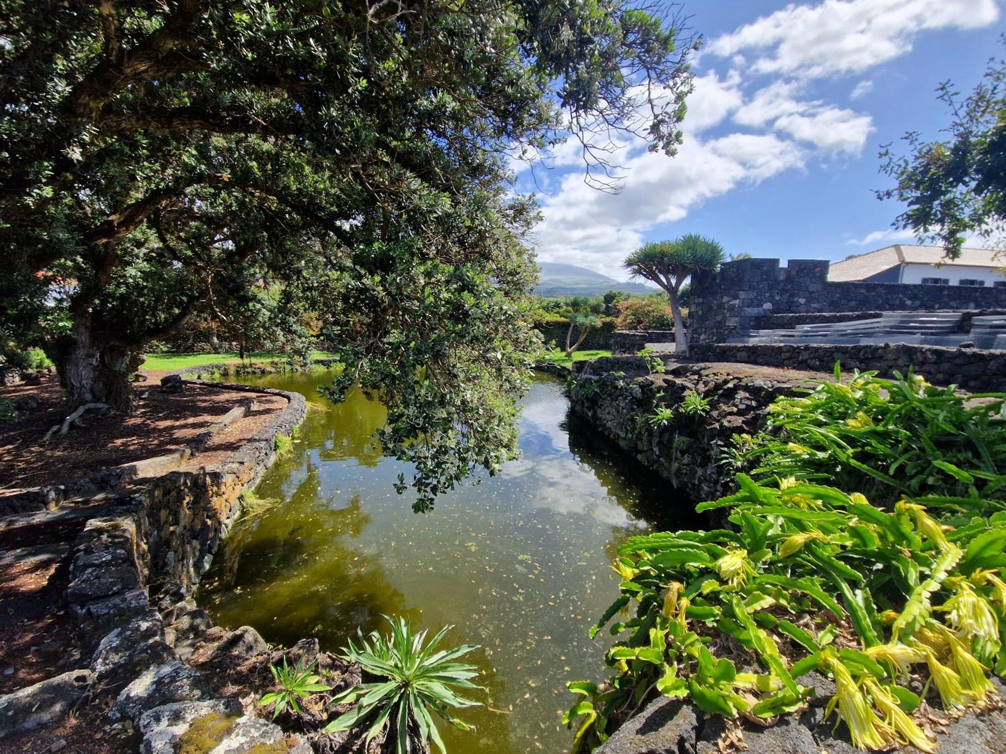 Vila Solar Dos Limas Criacao Velha Exteriér fotografie